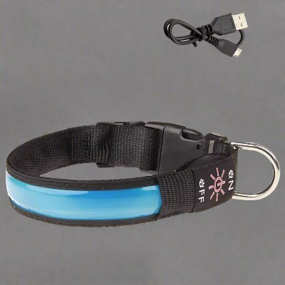 Collier lumineux chien| Lumy™ - bleu Chien en balade