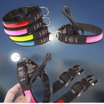 Collier lumineux chien|Lumy™ - couleurs variées
