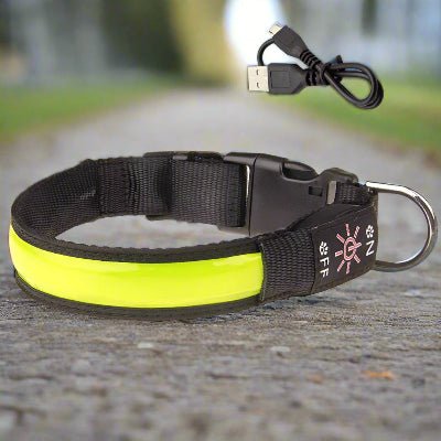 Collier lumineux  chien |Lumy™ -jaune  Chien en balade