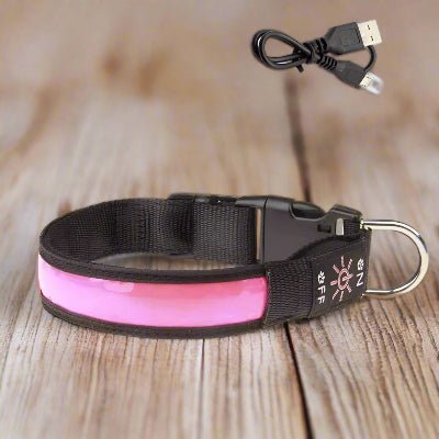 Collier lumineux chien| Lumy™ - rose Chien en balade