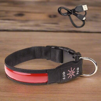 Collier lumineux chien| Lumy™ - rouge Chien en balade