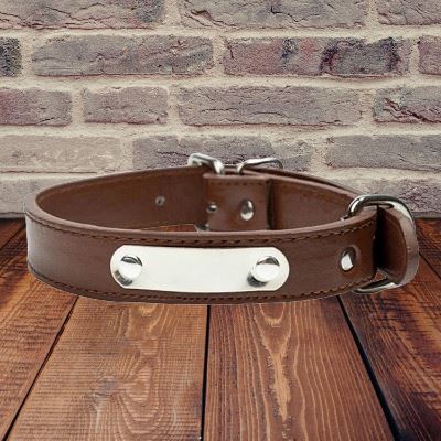 Collier pour Chien - LeatherDogCollar™ - Marron - Chien en balade