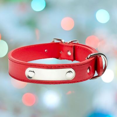 Collier pour Chien - LeatherDogCollar™ - Rouge - Chien en balade