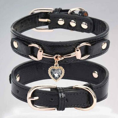 Collier pour chien SweetHeart™ Élégant et résistant - Chien en balade