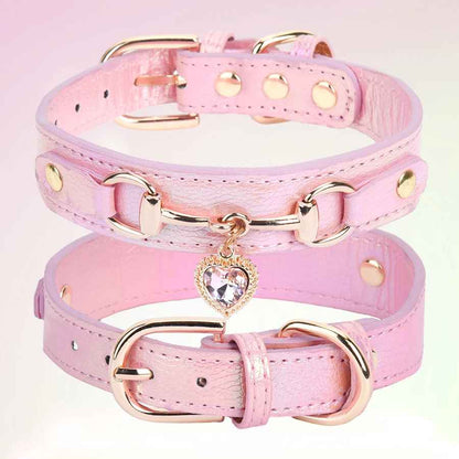 Collier pour chien SweetHeart™ Élégant et résistant - Chien en balade