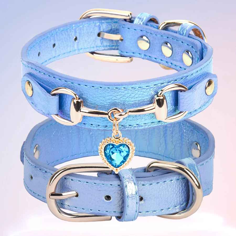 Collier pour chien SweetHeart™ Élégant et résistant - Chien en balade