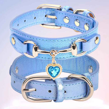 Collier pour chien SweetHeart™ Élégant et résistant - Chien en balade