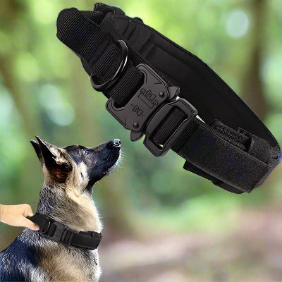 Collier tactique militaire Army noir  Chien en balade
