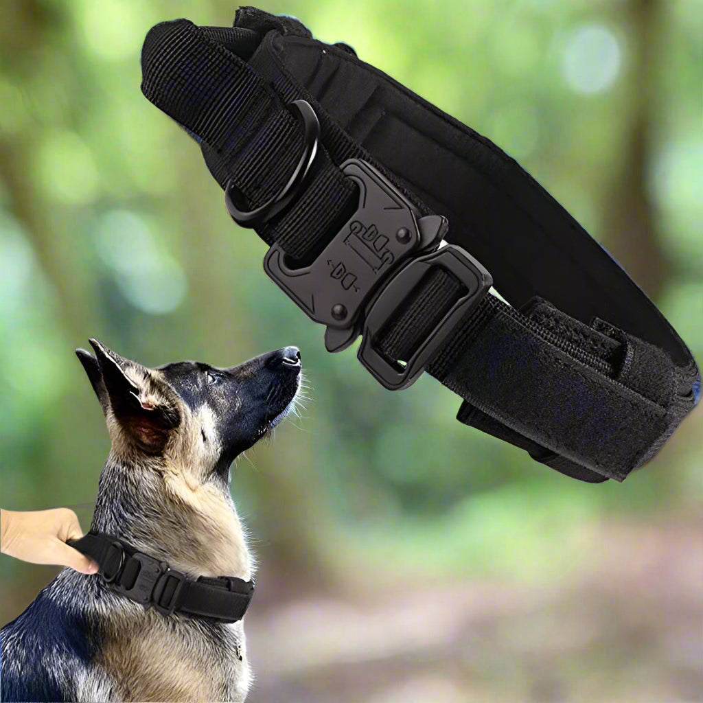 Collier tactique militaire-noir - Chien en balade