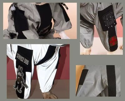 Combinaison imperméable pour chien| CIC™patch - Chien en balade