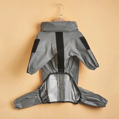 Combinaison imperméable pour chien| CIC™vue dessous - Chien en balade