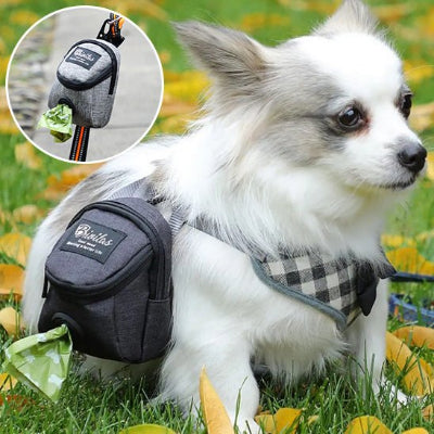 Distributeur sac à crottes - gris-noir-Chien en balade