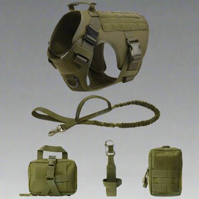 Ensemble harnais militaire pour chien de grande taille - Chien en balade