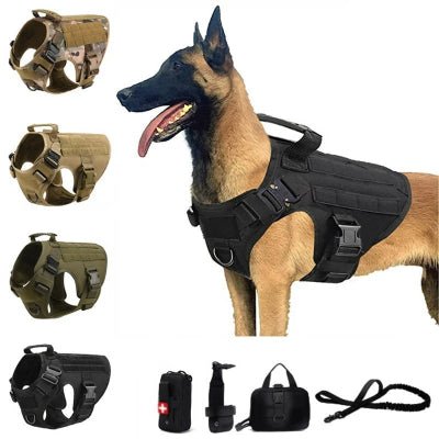 Ensemble harnais militaire pour chien de grande taille - Chien en balade