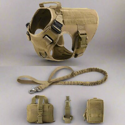 Ensemble harnais militaire pour chien de grande taille - Chien en balade