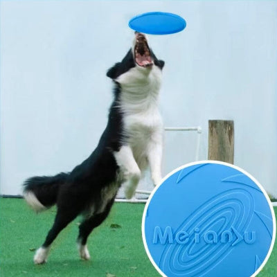 Frisbee chien FlyDog™-Bleu Chien en balade