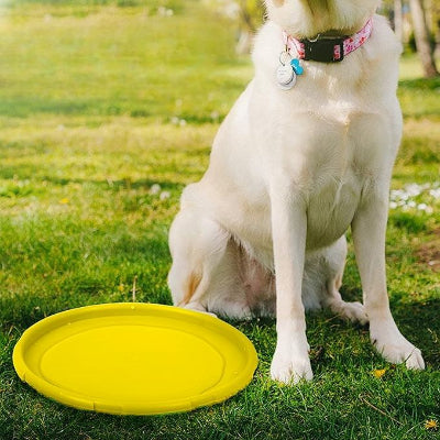 Frisbee chien FlyDog™-Jaune-Chien en balade