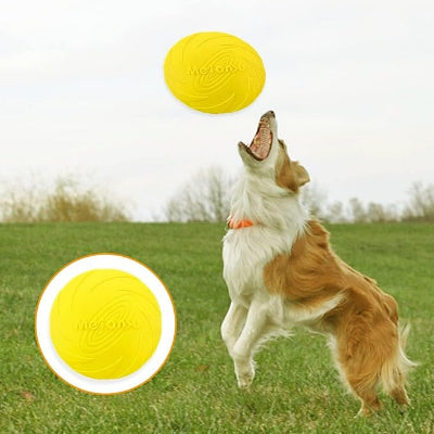 Frisbee chien FlyDog™-Jaune-Chien en balade