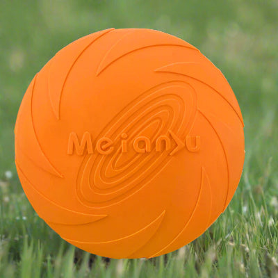 Frisbee-chien-FlyDog™-Orange-Chien en balade
