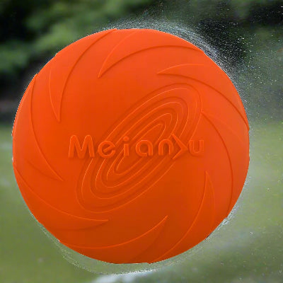 Frisbee-chien--FlyDog™-Rouge-Chien en balade