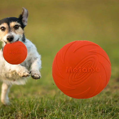 Frisbee-chien-FlyDog™-Rouge-Chien en balade