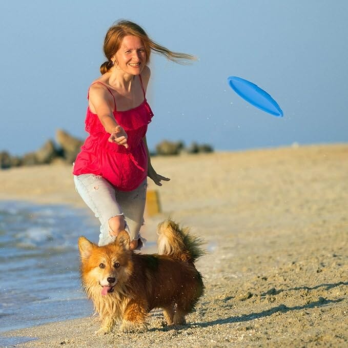 Frisbee - FlyDog™ - Bleu - Chien en balade