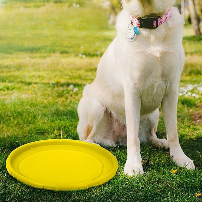 Frisbee - FlyDog™ - Jaune - Chien en balade