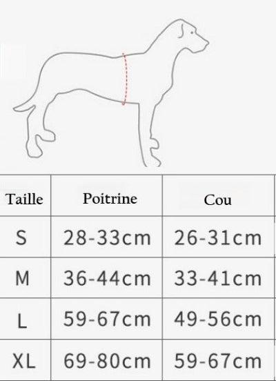 Gilet de sauvetage pour chien | GSC™ Conception robuste et sécuritaire - Chien en balade