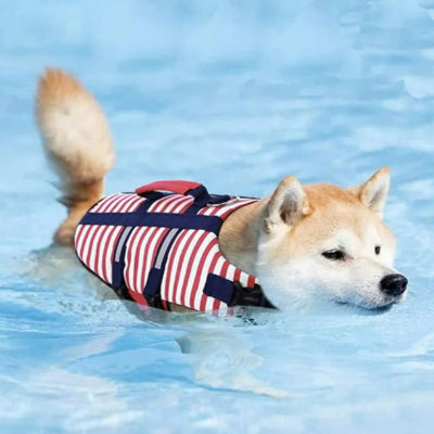 gilet-sauvetage-chien-piscine-chien en balade