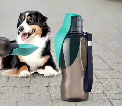 Gourdes pour Chien - DogWaterBottle™ - Chien en balade