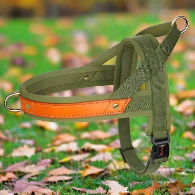 Harnais chien Anti - Traction | Confortrack - Chien en balade