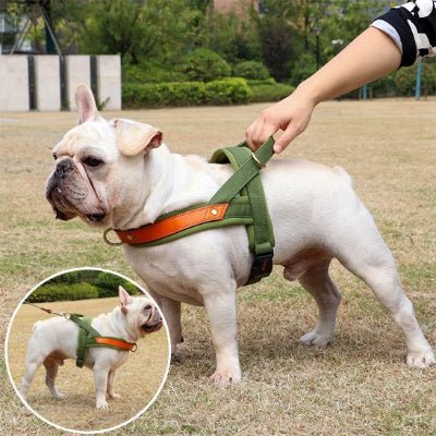 Harnais chien Anti - Traction | Confortrack - Chien en balade