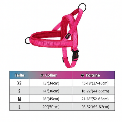 Harnais chien Anti - Traction | Confortrack - Chien en balade