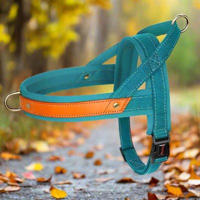 Harnais chien Anti - Traction | Confortrack - Chien en balade