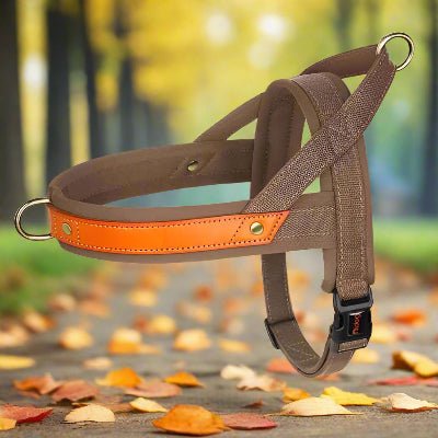 Harnais chien Anti - Traction | Confortrack - Chien en balade
