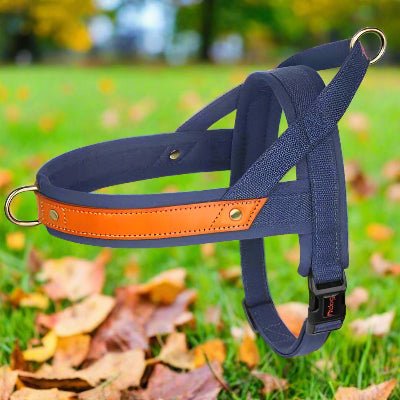 Harnais chien Anti - Traction | Confortrack - Chien en balade