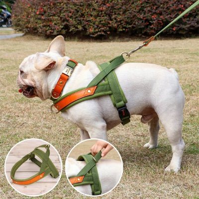 Harnais chien Anti - Traction | Confortrack - Chien en balade