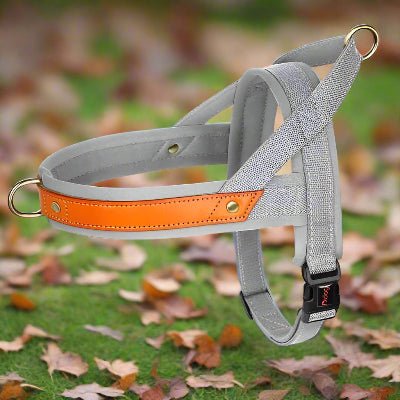 Harnais chien Anti - Traction | Confortrack - Chien en balade