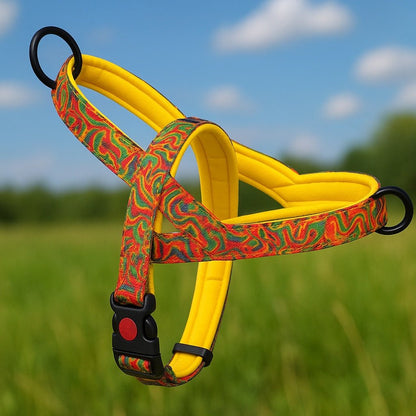 Harnais Chien - DogSafeHarness™ Confort et sécurité garantis - Chien en balade