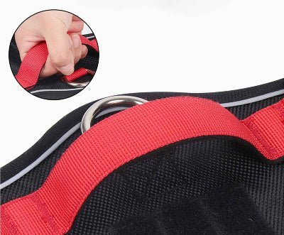 Harnais chien| poignée sécuritaire de contrôle- Chien en balade