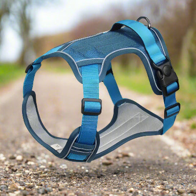 harnais chien taktik bleu-robuste et leger