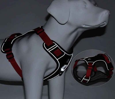 Harnais chien| Taktik™ Confortable et léger - Chien en balade