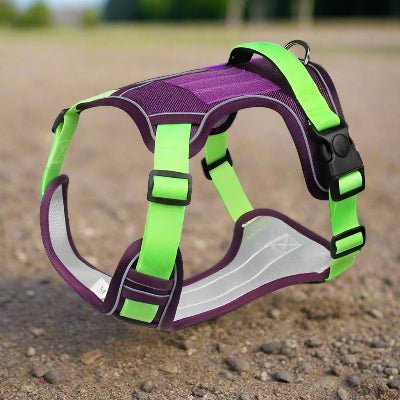 Harnais chien| Taktik™ Confortable et léger - Chien en balade