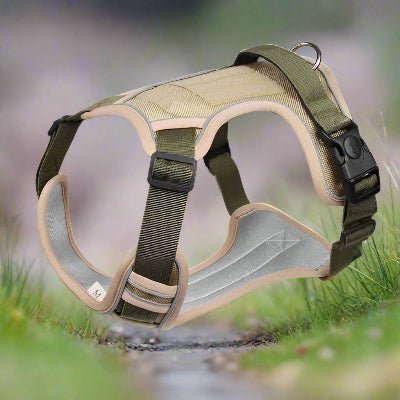 Harnais chien| Taktik™ Confortable et léger - Chien en balade