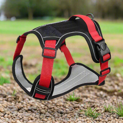 harnais chien taktik rouge Robuste et léger