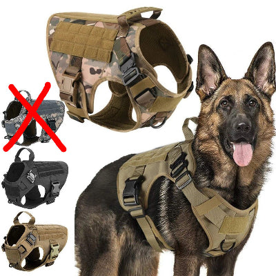 Harnais militaire pour chien de grande taille - Chien en balade