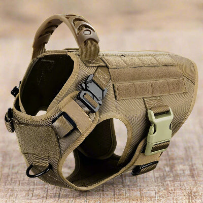 Harnais militaire pour chien de grande taille beige- Chien en balade