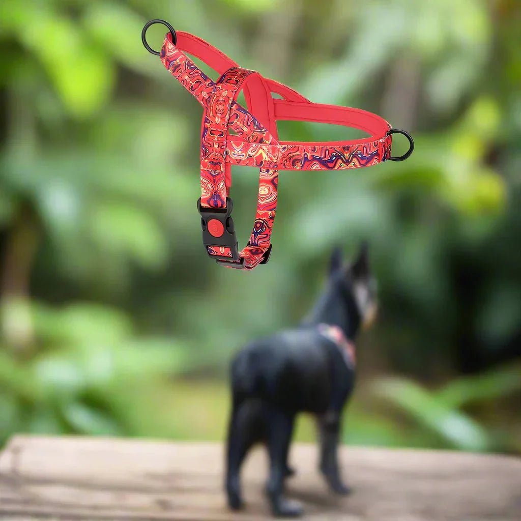 Harnais pour chien - DogSafeHarness™ - Rouge - Chien en balade