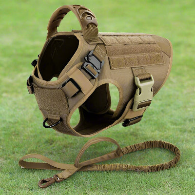 harnais-pour-chien-militaire-sfp-beige- Chien en balade