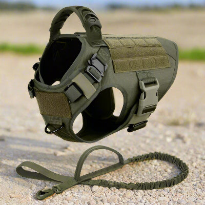 Harnais pour chien militaire SFP - kaki-Chien en balade